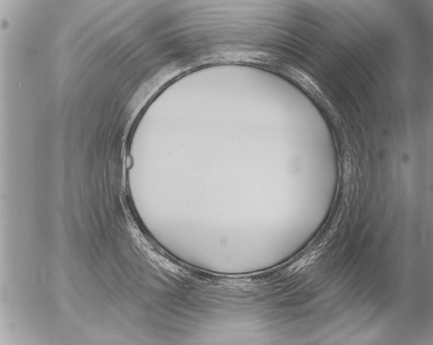 X0000052540844200507291848