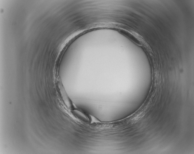 X0000052540846200507291848