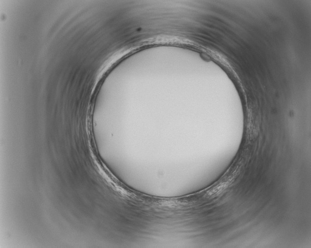 X0000052540847200507291848