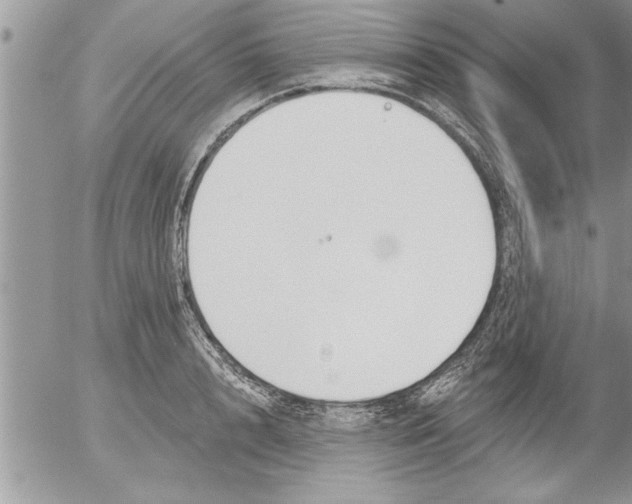 X0000052540848200507291848