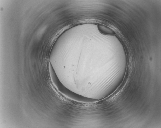 X0000052540849200507291848