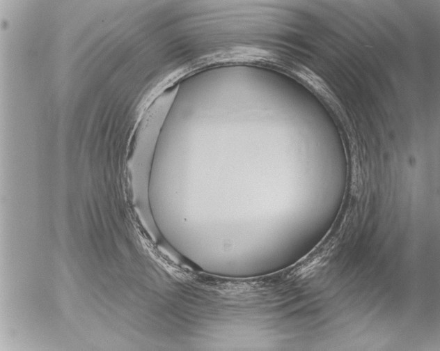 X0000052540850200507291848