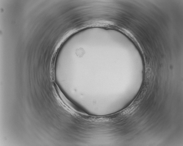 X0000052540851200507291848