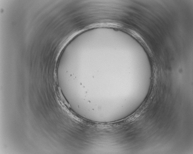 X0000052540852200507291848