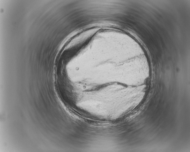 X0000052540853200507291848