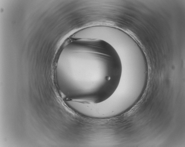 X0000052540854200507291848