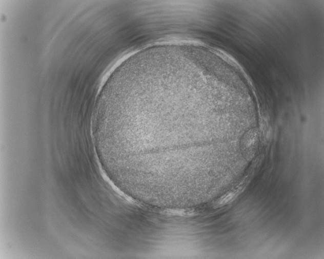 X0000052540855200507291848