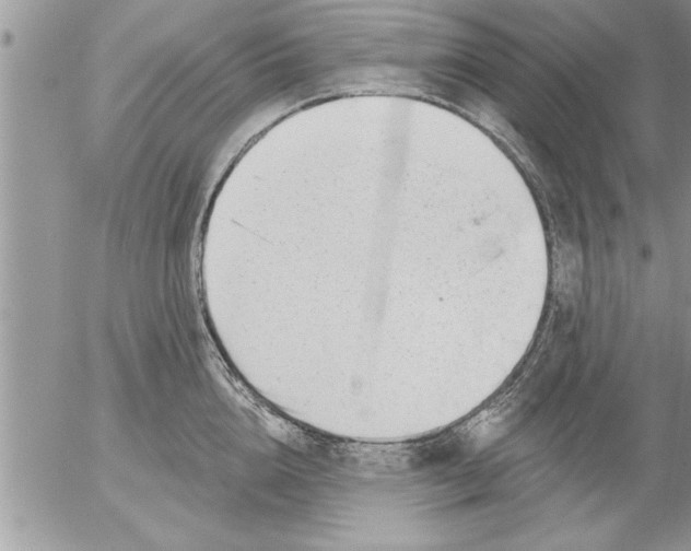 X0000052540856200507291848