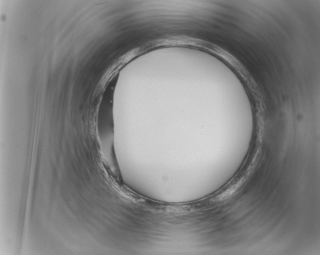 X0000052540857200507291848