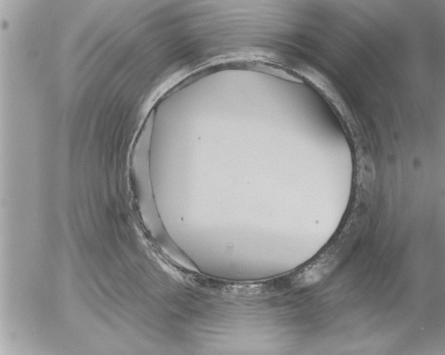 X0000052540858200507291849