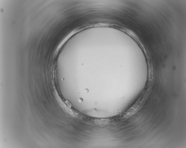 X0000052540859200507291849