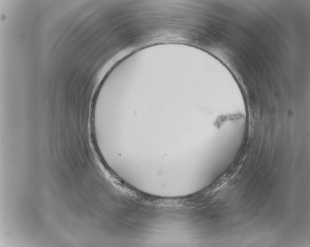 X0000052540861200507291849