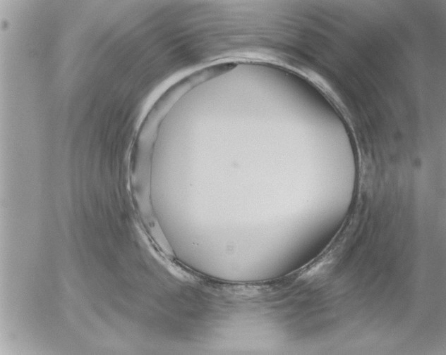 X0000052540862200507291849