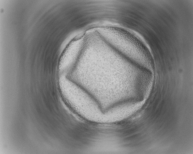 X0000052540863200507291849