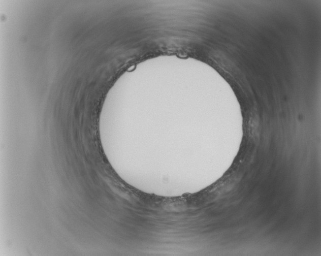 X0000052540865200507291848