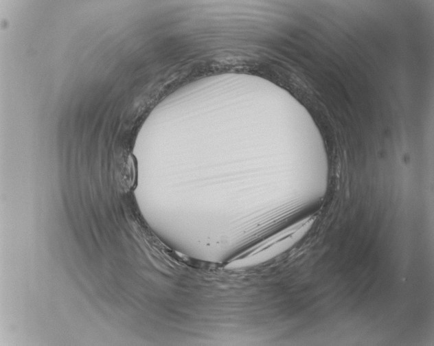 X0000052540868200507291848