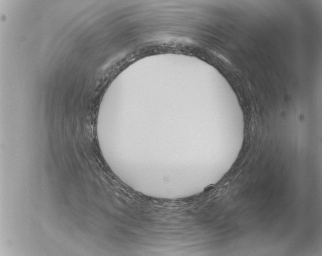 X0000052540869200507291848