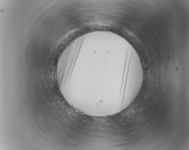 X0000052540870200507291848