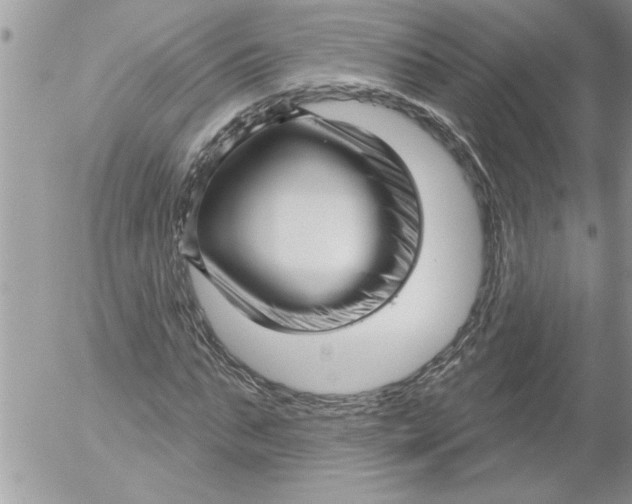 X0000052540871200507291848