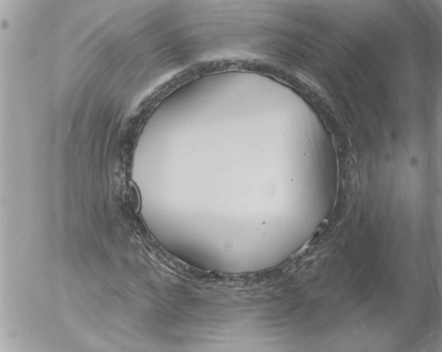 X0000052540872200507291848