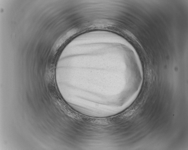 X0000052540874200507291848