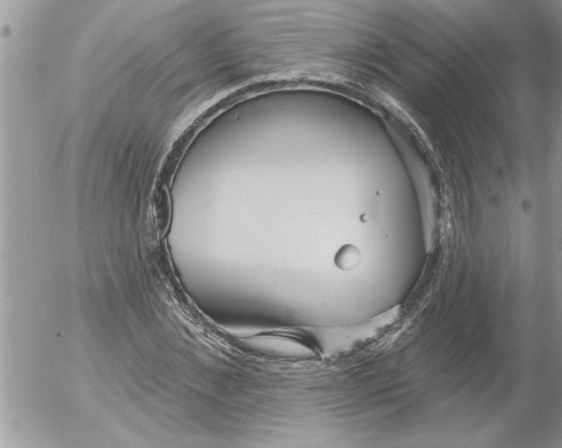 X0000052540876200507291848