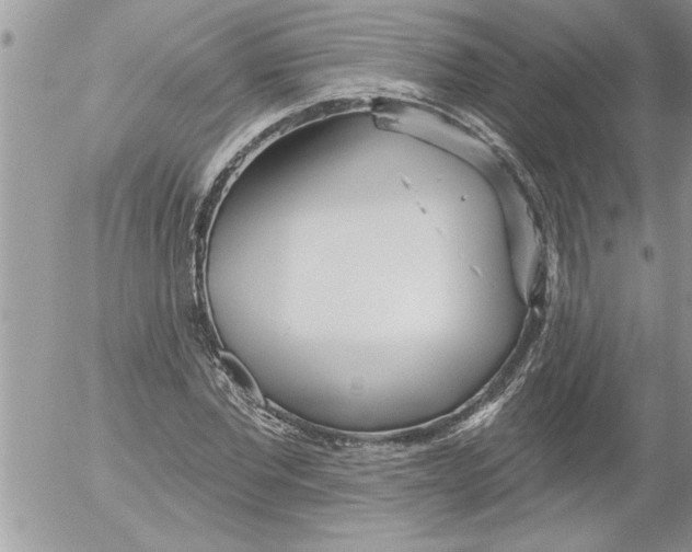 X0000052540877200507291848