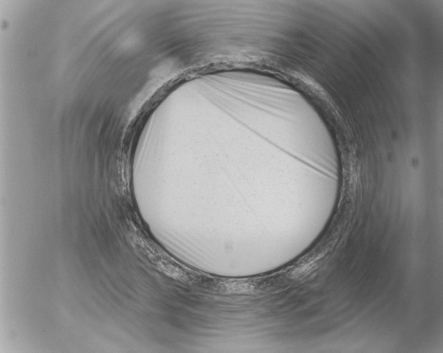 X0000052540878200507291848