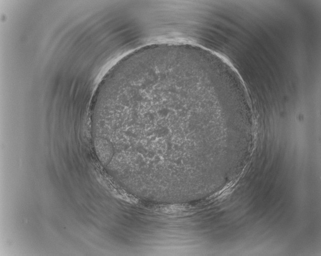 X0000052540879200507291848