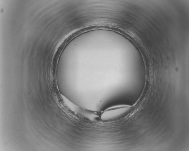 X0000052540880200507291848