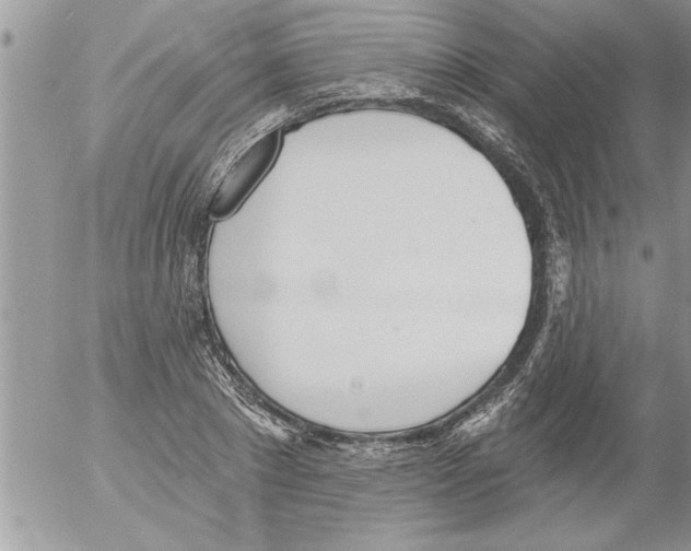 X0000052540881200507291848