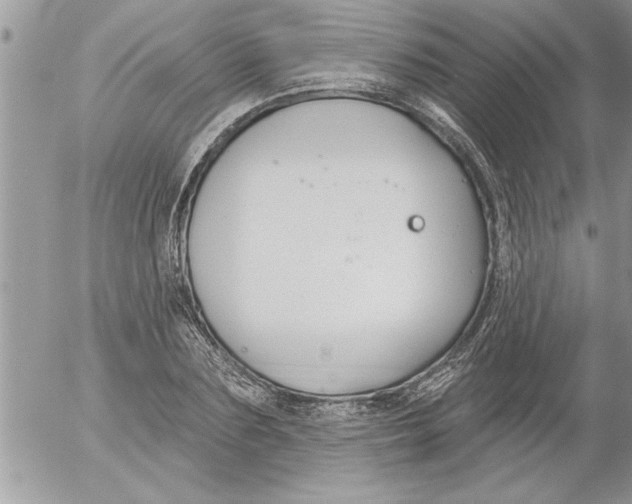 X0000052540883200507291848