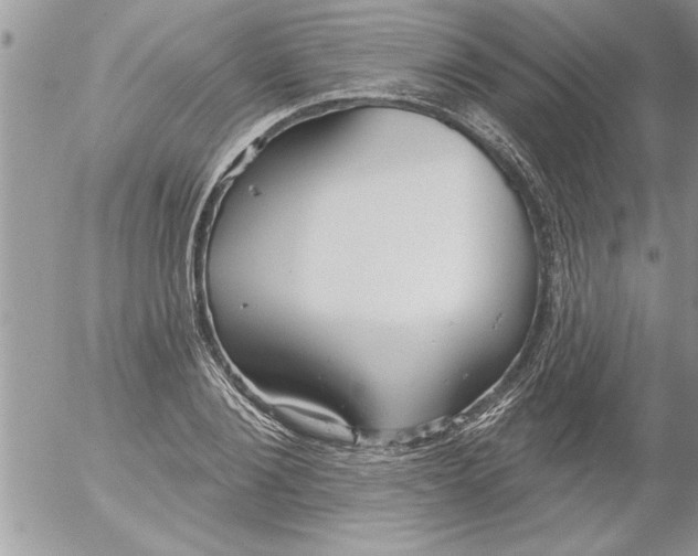 X0000052540884200507291848