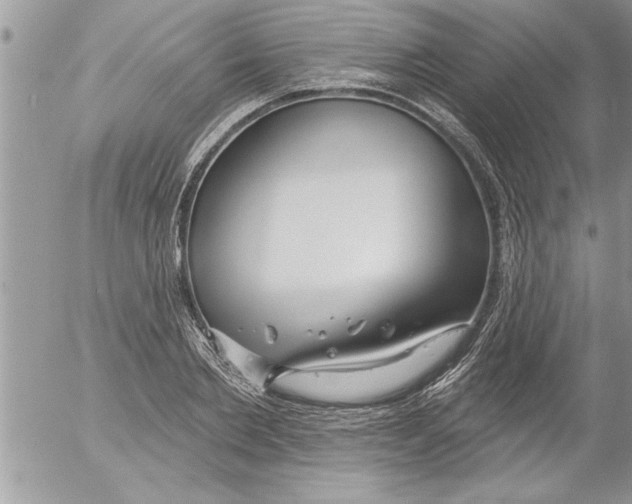 X0000052540885200507291847