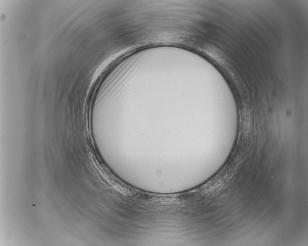 X0000052540886200507291847