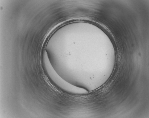 X0000052540887200507291847