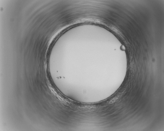 X0000052540888200507291847