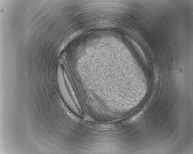 X0000052540889200507291847