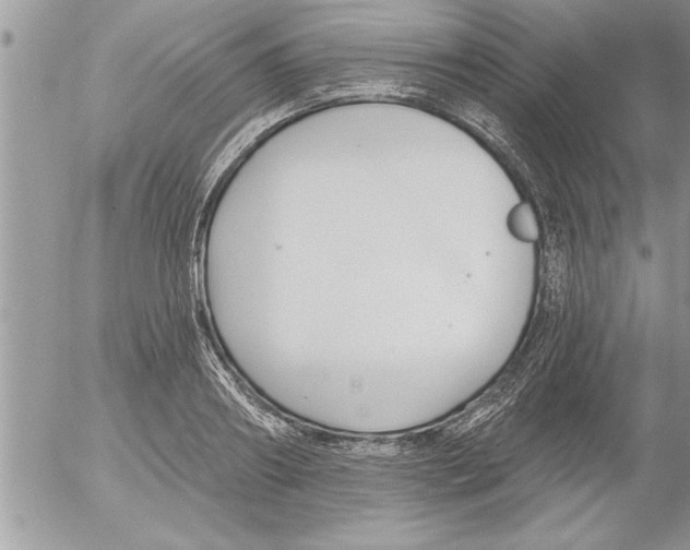 X0000052540890200507291847