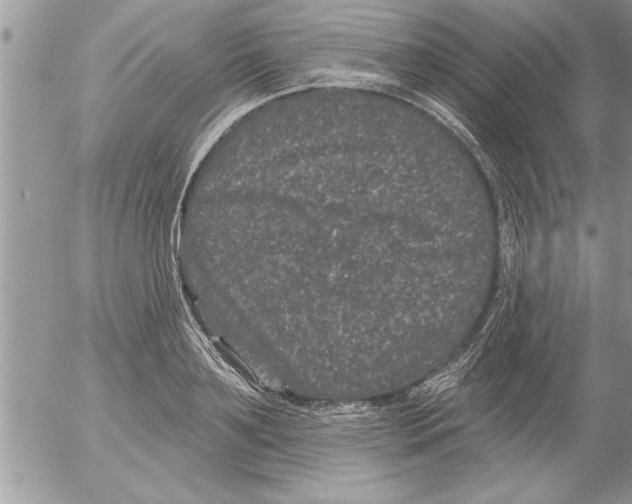 X0000052540891200507291847