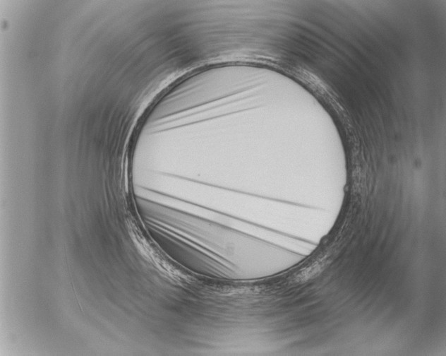 X0000052540892200507291847