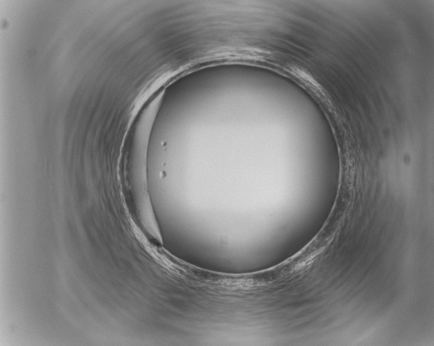 X0000052540893200507291847