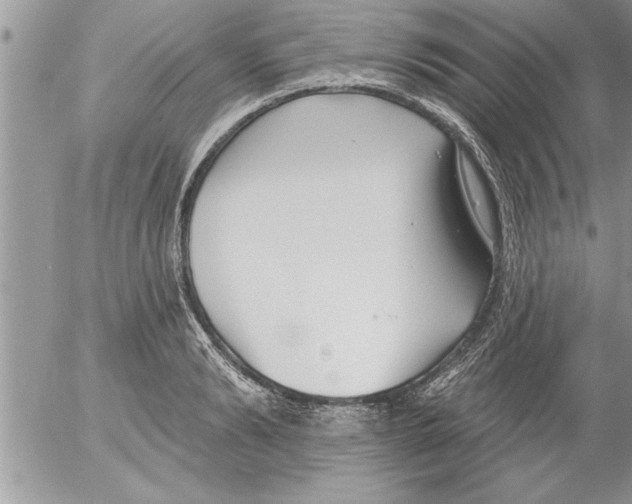 X0000052540894200507291847