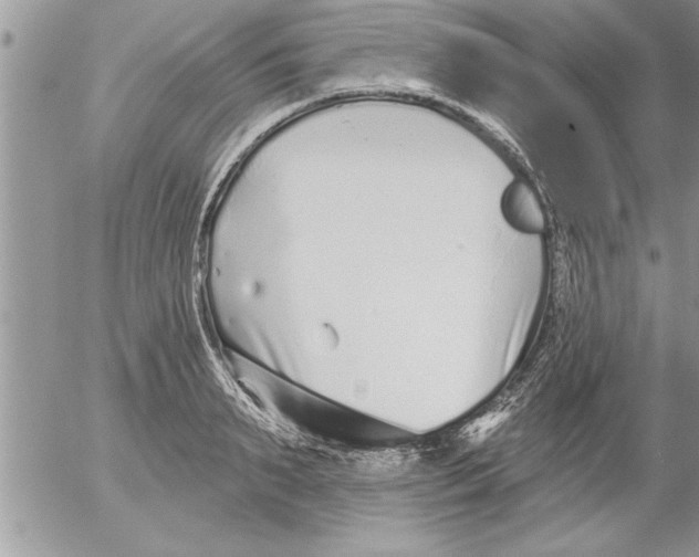 X0000052540895200507291847