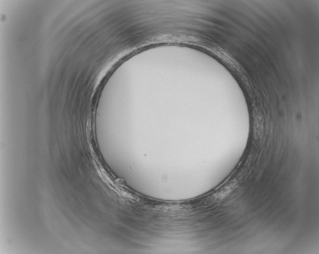 X0000052540896200507291847