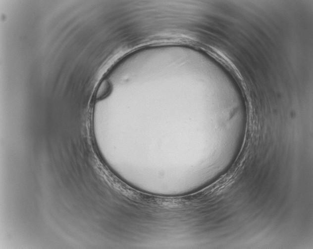 X0000052540899200507291847