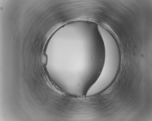 X0000052540900200507291847