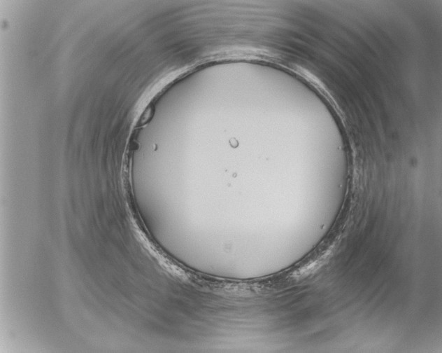 X0000052540901200507291847