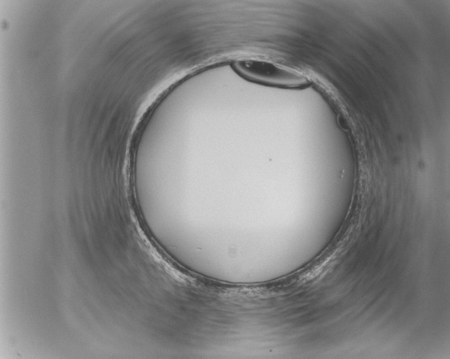 X0000052540902200507291847