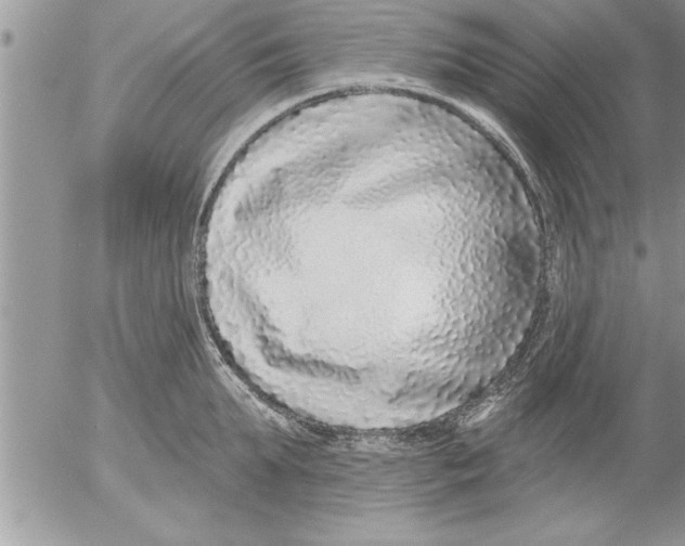 X0000052540903200507291847